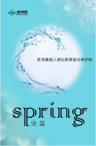 医用重组人源化胶原蛋白修护贴